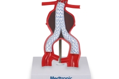 Custom models can be designed to include economical and accurate replicas of medical devices.