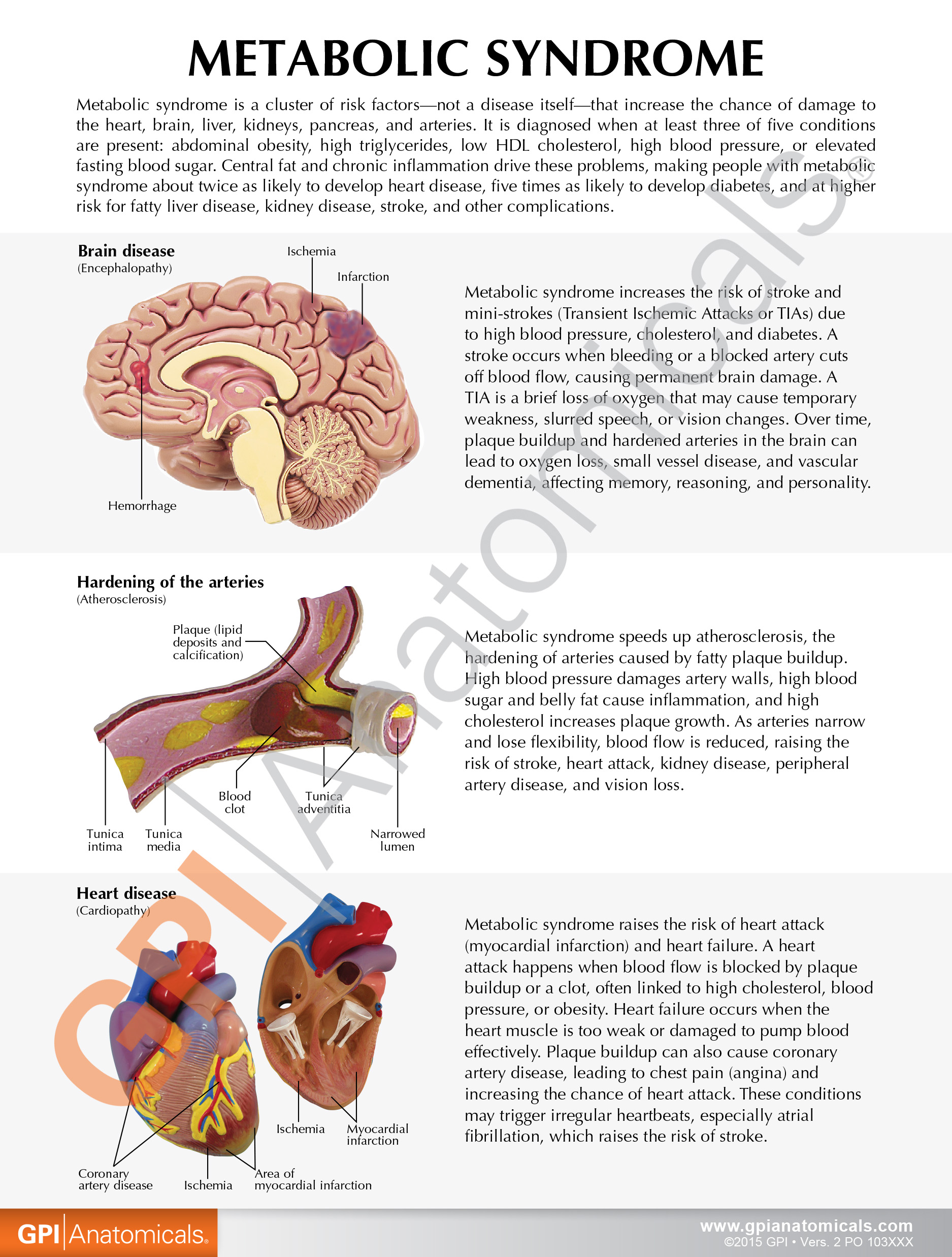 4020_Metabolic_Syndrome_Front_WM