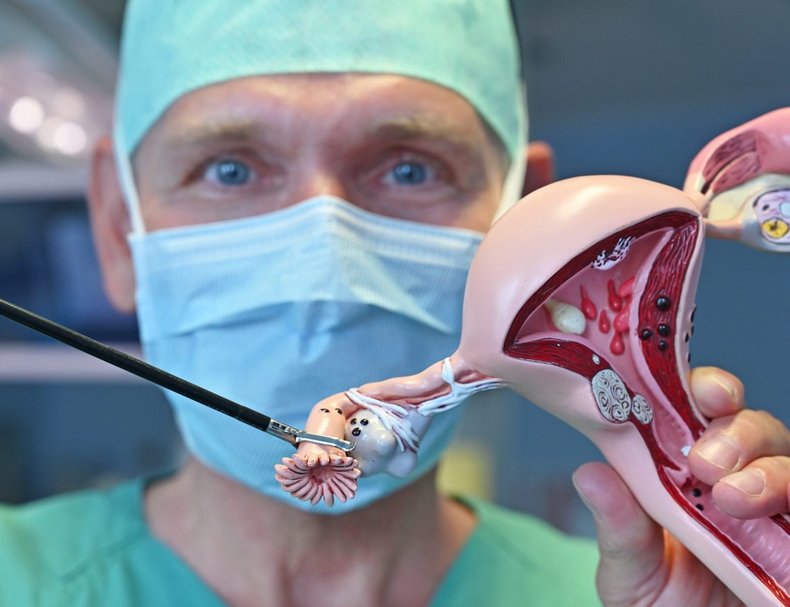 GPI Anatomicals Stock & Custom Anatomical Models